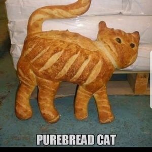 Meet your Posher, Sandy